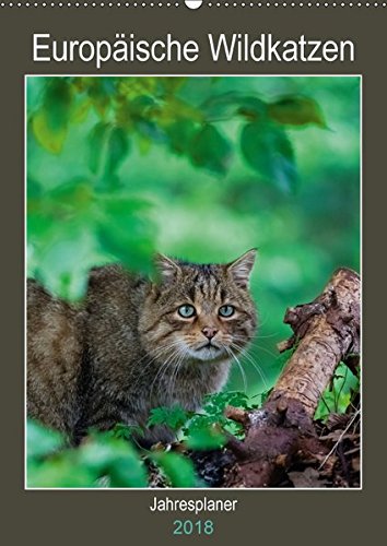 Europäische Wildkatzen - Jahresplaner (Wandkalender 2018 DIN A2 hoch): 12 Portraits der scheuen Wildkatze (Planer, 14 Seiten ) (CALVENDO Tiere)