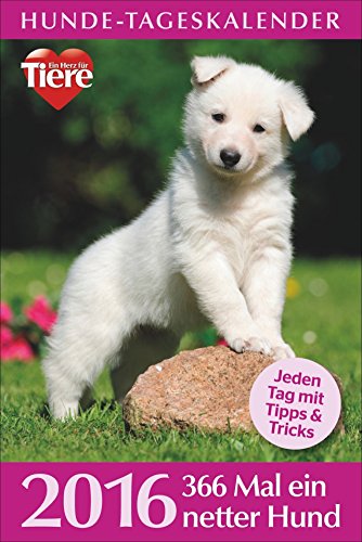 Hunde-Tageskalender 2016