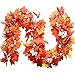 Produktbild Colorful Home Deco LED Lichtern Herbstgirlande Herbst Blättergirlande 1.7M, Batteriebetriebene, Perfekte Dekoration für Halloween Herbst und Thanksgiving