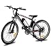Produktbild Tomasa 26 Zoll Elektrofahrrad, E-Bike Faltbare Mountainbike Elektro Fahrrad mit Kapazität Lithium-Akku,LED-Anzeige,250W Max. 35km/h