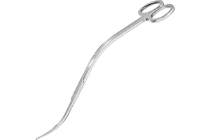 Qaestuan Rostfritt stål böjd akvariesax 25 cm akvarium växtsax