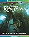 Produktbild The Secrets of Kelp Forests: Life's Ebb and Flow in the Sea's Richest Habitat (Jean-Michel Cousteau Presents)