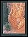 Produktbild 1art1 Christophe Cassegrain Poster Kunstdruck und MDF-Rahmen Schwarz - Serenade of Life, Bryce Canyon, Utah (80 x 60cm)