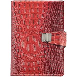 Agenda in echtem Leder