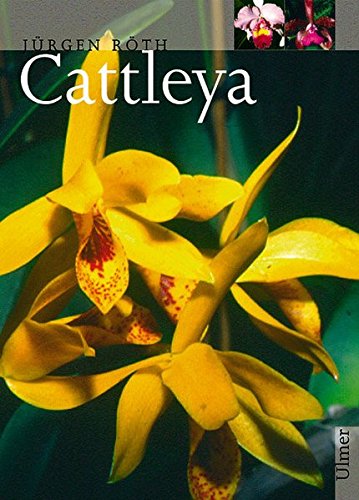 Download Cattleya (Pflanzen-Monographien)