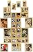 Produktbild 35 tlg. Set _ Aufkleber / Sticker - " Zootiere - Tiere " - selbstklebend - für Mädchen & Jungen - Tier / Safari Afrika - Giraffe Löwe / Affen - Tiger - Stickerset Kinder - z.B. für Stickeralbum / Figuren - Haustiere Bauernhof Tier