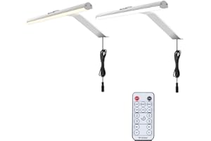 LABOREDUCER Picture Lights Silver Plug in 2 Pack with with Remote Control,Art Light for Paintings Dimmable Picture Frame Lighting for Wall, Dartboard Light Display Lights for Art Gallery