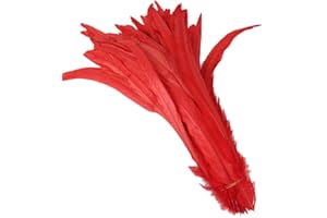 Yalulu 20 Stück 30-35 cm Größere Natur Feder Hahn Feder Fasan Hahnfeder Federn zum Basteln Kopfschmuck Schmucksfedern DIY (Rot)
