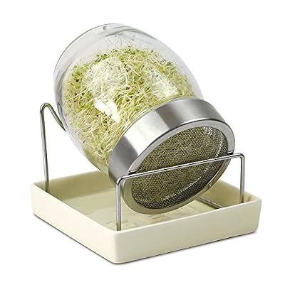 Geo Germoir Verre Brun 14,5 x 15 x 15,5 cm