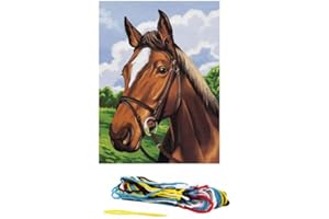 DISTRIFIL Kit Canevas Portrait cheval - 29