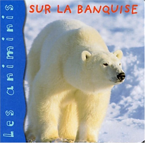Sur la banquise