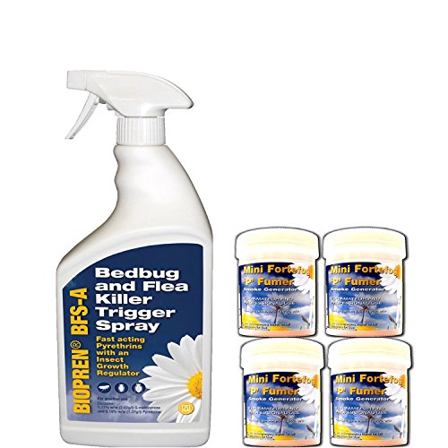 most effective flea killer