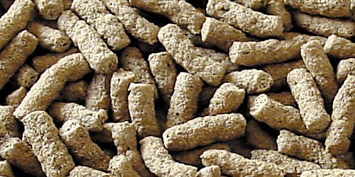 sera 07196 pond granulat 21 l – Hauptfutter in Stickform und schwimmfähig für alle Teichfische - 2