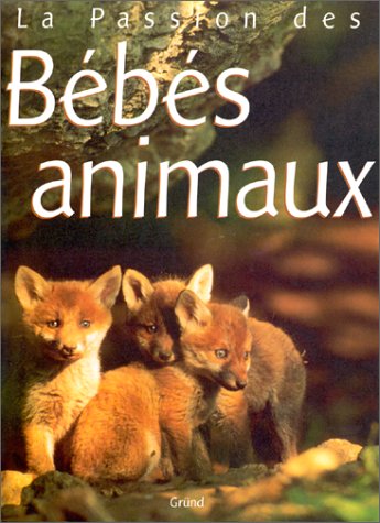 Download Bébé animaux Download Bébé animaux