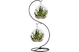 FOSINZ Espositore ornamentale in ferro da appendere ganci per appendere globo di vetro aria pianta terrario palla ornamento natalizio decorazione domestica matrimonio