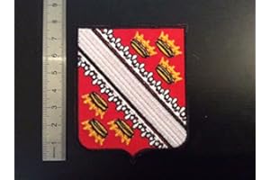 BLUE HAWAI ECUSSON PATCHES AUFNAHER TOPPA - BLASON REGION ALSACE - THERMOCOLLANT