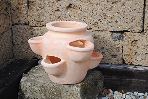 Kräuter-oder Erdbeertopf,Terracotta,ca.34cm