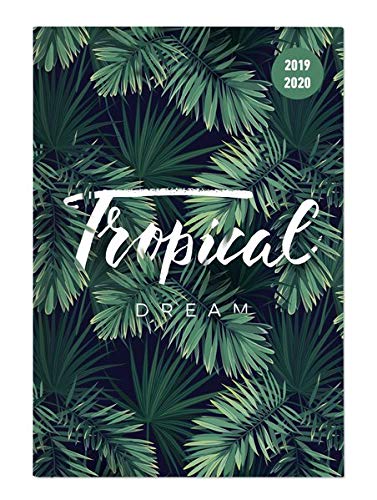 Collegetimer Jungle 2019/2020 - Dschungel - Schülerkalender A6 (10 x 15) - Weekly - 224 Seiten - Terminplaner