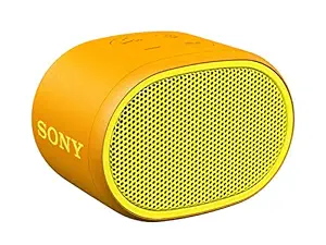 Sony SRS-XB01 Wireless Bluetooth Outdoor Speaker (Yellow)