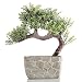 Produktbild Bonsaibaum Deko Schmuck Künstliche Baum Bäume Bonsai Kunstbaum Dekoration (BONSAI/7)
