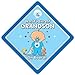 World's Cutest Grandson On Board, World's Cutest Grandson Car Sign, Baby On Board Sign, Baby on Board, Decal, Bumper Sticker, baby Sign, Baby Car Sign, Grandchildren Sign, Novelty Car Sign