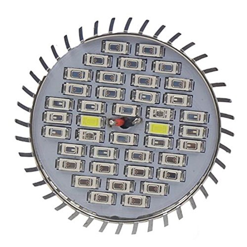 Preisvergleich Produktbild Viktion LED Pflanzenlampe E14 LED Pflanzenlicht SMD Growlicht LED-Pflanzen-Wachstumslampe 8W 9W 10W 12W für Obst Gemüse Pflanzen Innen-Gewächshaus Glashaus Blumen (9W)