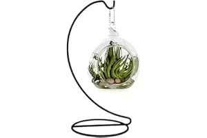 Fosinz - Espositore decorativo da 22,5 cm, in ferro da appendere, ideale per appendere globo di vetro, terrario per Natale, matrimoni, casa, ufficio, decorazioni da giardino (nero)