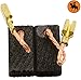 Produktbild Buildalot Specialty Kohlebürsten ca-03-66226 für Casals Nascher R20-5x8x15mm