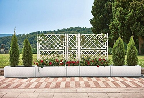 XL Rankgitter, Spalier mit Pflanzkasten in moderner Rattan-Optik aus robustem Kunststoff in Weiß. Maße BxTxH in cm: 100 x 43 x 142 cm. Topp für Garten, Terrasse und Balkon! - 5