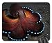 Produktbild Glowing blau Coconut Octopus Mauspad, Mousepad (Fisch Mauspad) von Rock Bull