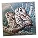 Produktbild Homyl 5D Diamant DIY Kreuzstich Stickerei Malerei Bild- Tier - Eule