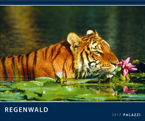 Regenwald 2012: Der grüne Planet