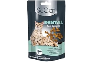 Riga - SoCat Crock Dental - Friandises pour Chat - Biscuit Croquant - Favorise L'Hygiène Bucco-Dentaire - Riche en Vitamines - sans Colorant Ni Conservateur - Récompense Idéale - 60 g