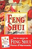 Feng shui : Force de spiritualité
