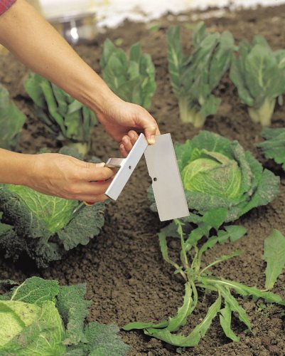 WOLF-Garten multi-star® Hacke HW-M 15; 2345000 - 2