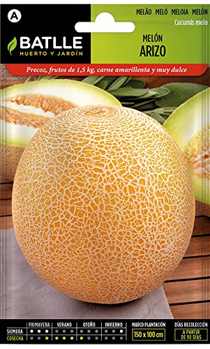 Semillas Hortícolas - Melón Arizo - Batlle