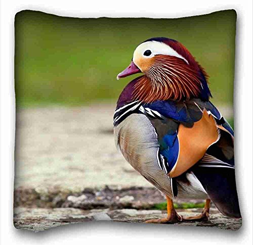 Custom Characteristic ( Animals duck waterfowl mandarin ) Popular 16x16 inch One Side Pizza Rectangle Pillowcase suitable for Twin-bed PC-Green-1199