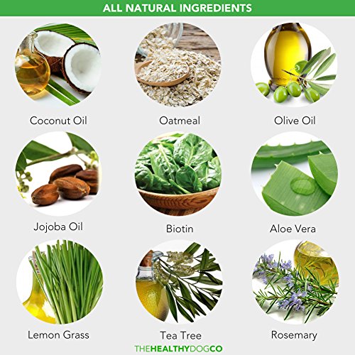 6-in-1-All-Natural-Dog-Shampoo-Lemongrass-Rosemary-Tea-Tree-500ml-The-Best-Wash-for-Healthy-Dogs-Cleans-Conditions-Detangles-Moisturises-Relieves-Itchiness-Eliminates-Germs-Smells