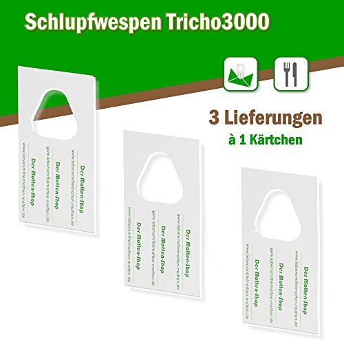 Schlupfwespen gegen Lebensmittelmotten 3000 Stück x 3 Lieferungen 1 Karte
