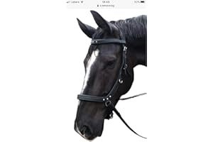 BENZ EQUESTRIAN ANATOMICAL MULTI BRIDLE BITTED/BITLESS BREATHABLE PADDED HEADPIECE BLACK & BROWN (full/large, black)
