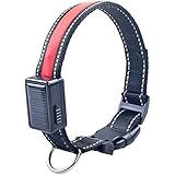 Wasserdicht LED-Haustier-Hundehalsband LED USB/Solar Aufladbare Haustier-Sicherheits-Kragen Sicherheitsgeschirr Brustgechirr mit LED Licht