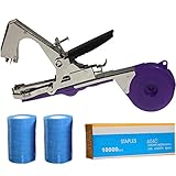 Cartello Per Il 50&deg; Anniversario, Anniversario Di Nozze D'oro, Decorazione Per Il 50&deg; Anniversario, Rosa Rossa Per L'anniversario Di Matrimonio, Poster Per Il 50&deg; Anniversario - Italia