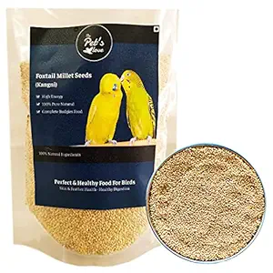 PET'S LOVE Quality Foxtail Millet Seeds Kangni (Kang) Birds Food for Canaries, Finch, Waxbills, Budgies, Lovebirds, Cockatiels, 1 kg