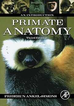 Primate Anatomy An Introduction English Edition Ebook