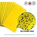 Price comparison product image Tofree Strong Bug Sticky Board Catching Flies Trap Insect Killer Pest Control Glue Sticker
