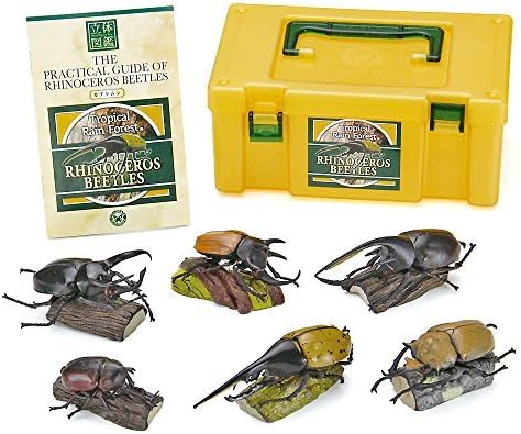 Real Figure Box - Reinoceros Beetle (6pcs)