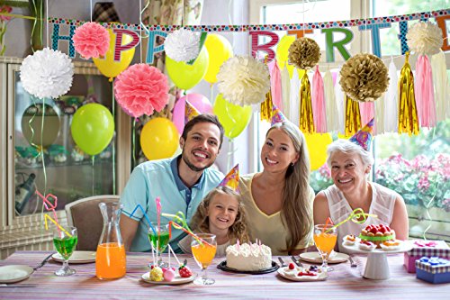 Paxcoo 30 Stück Rosa und Gold Tissue Papier Pom Poms Blumen Quaste Girlande für Geburtstag Hochzeit Party Dekorationen - 8