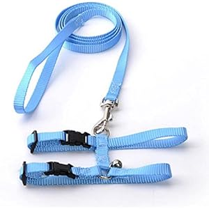 WINNERUS Haustier Hamster Kaninchen Leine Harness Mesh Haustier Werkzeug Zubehör (blau)