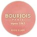 Bourjois Little Round Pot Blusher Blusher 95, Rose De Jaspe