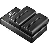Homesuit NP-F550 Batteries (2 Pack) and Dual Charger Compatible with Sony NP F970, F960, F770, F750, F570, F550, F530, F330, 